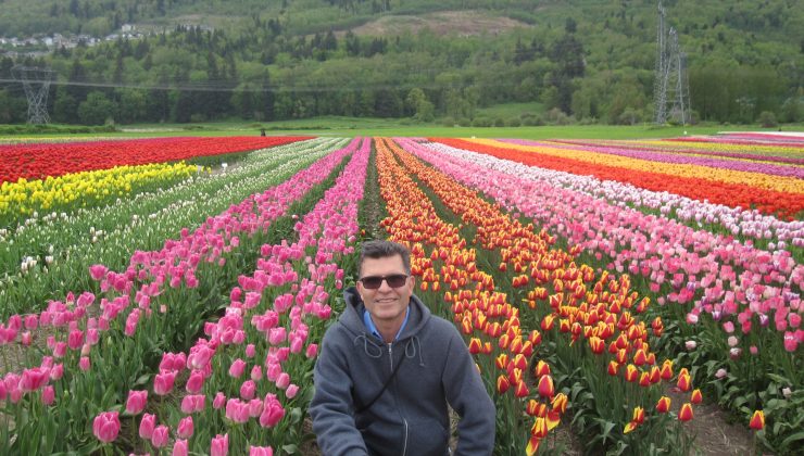 Employee Spotlight: Hamid Babaki