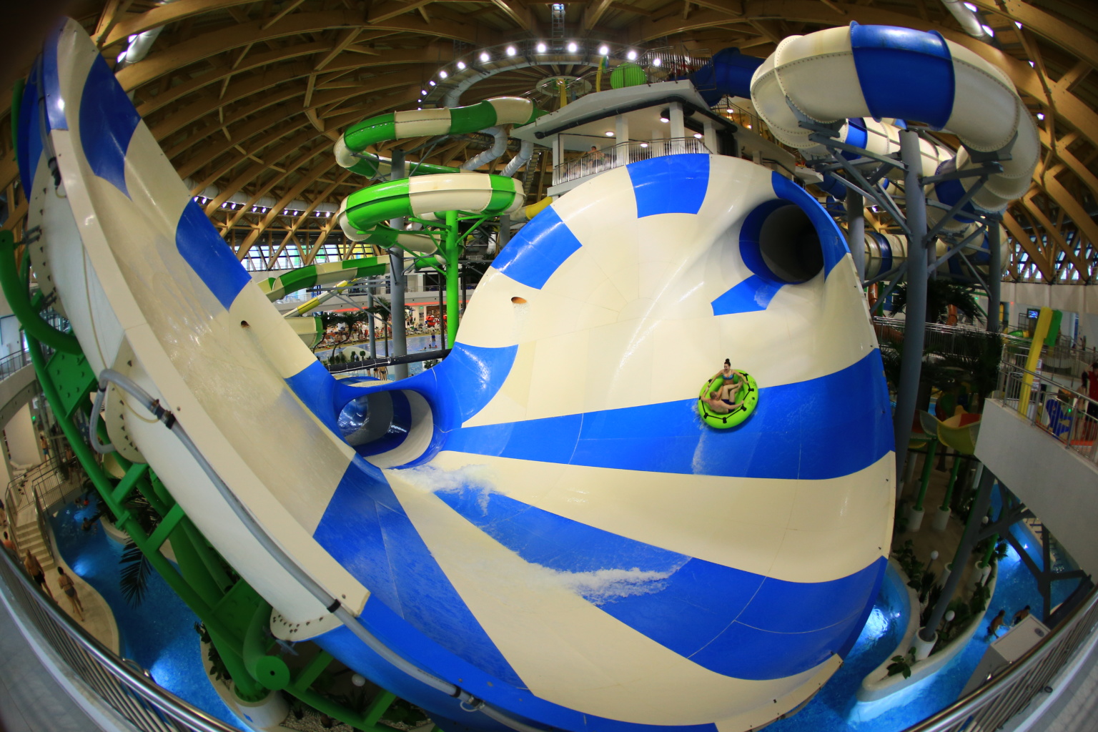 image_1