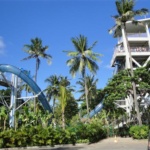 Water slide amidst palm trees Aqualoop Waterbom Bali