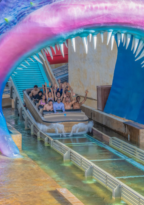 A Shoot the Chute coming down the drop