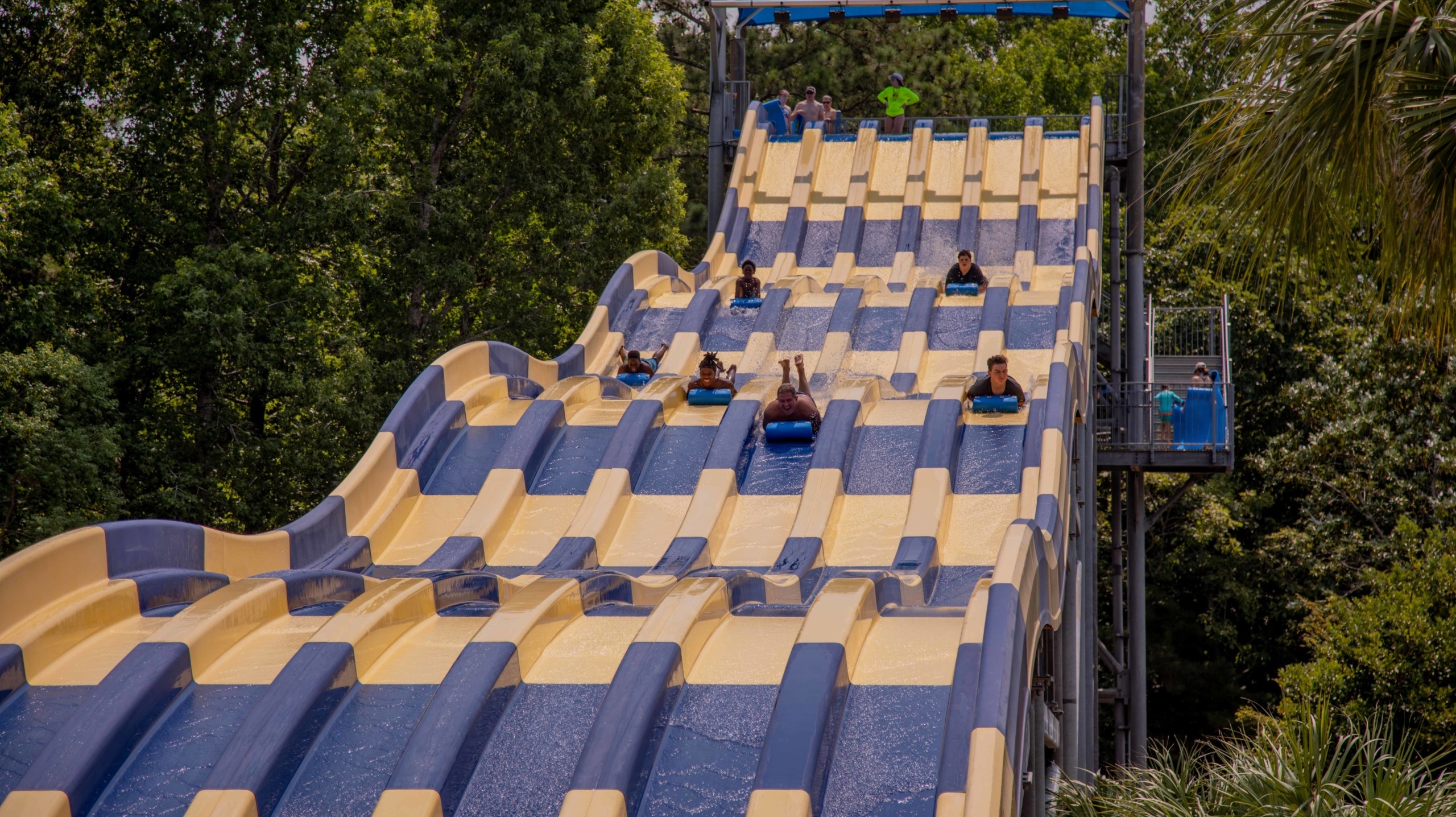 Mat Racer, Whirlin' Waters Adventure Waterpark, North Charleston, USA,