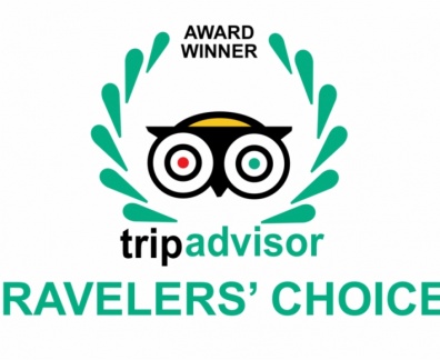 502-5029918_tripadvisor-travellers-choice-hotels-in-india-graphic-design