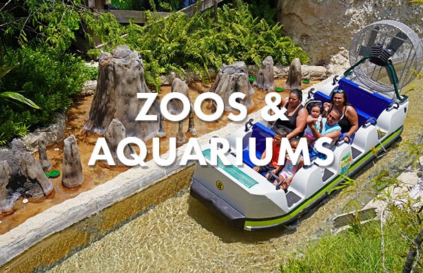 Water Rides Manufacturer for Zoos and Aquariums