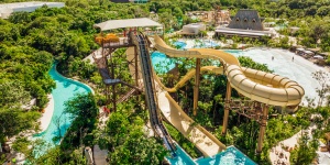 water slide tower in lush green