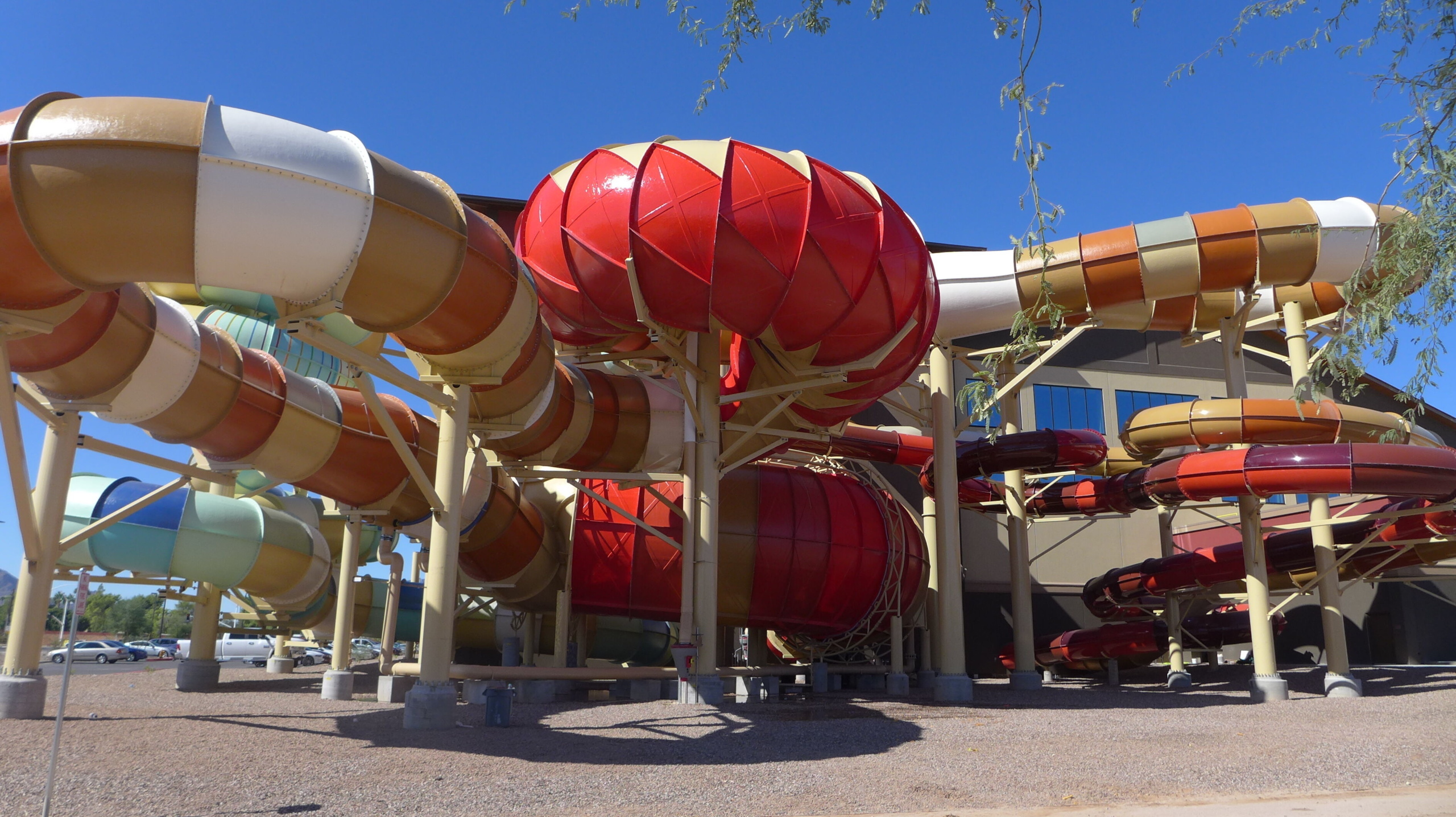 Constrictor & Python, Great Wolf Lodge, Scottsdale, USA